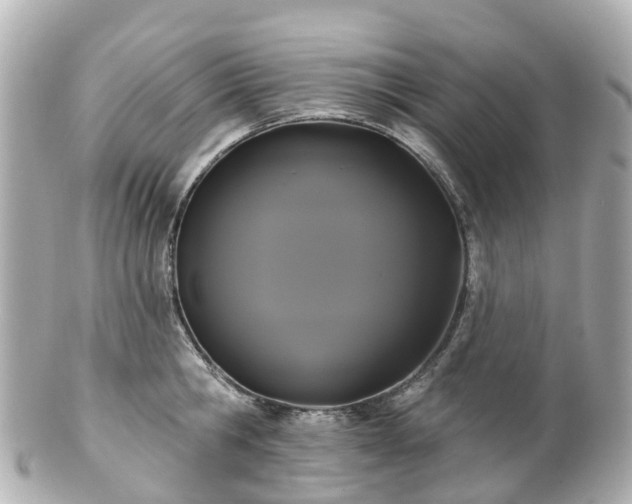 X0000100920806200807011305