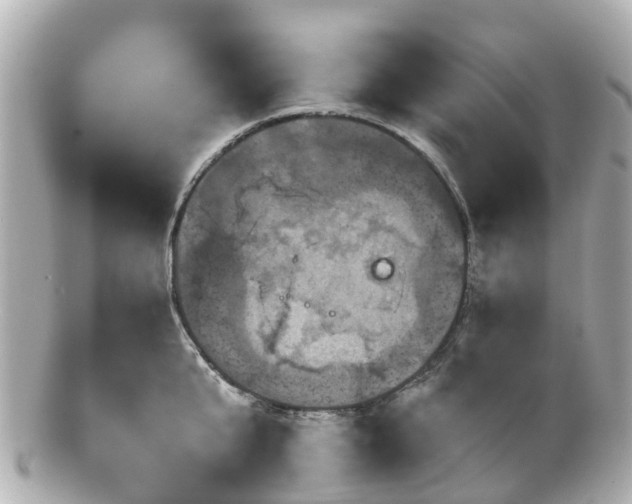 X0000100920807200807011305