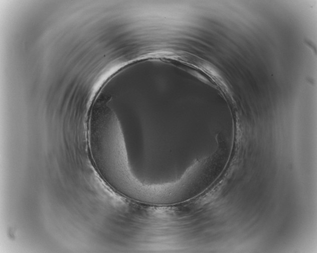 X0000100920808200807011305