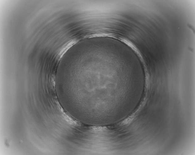 X0000100920809200807011305