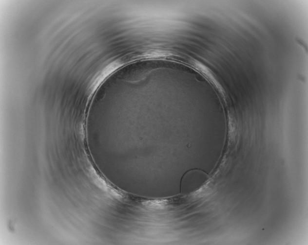 X0000100920810200807011305