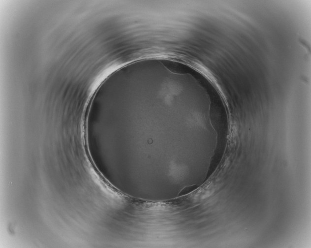 X0000100920811200807011305