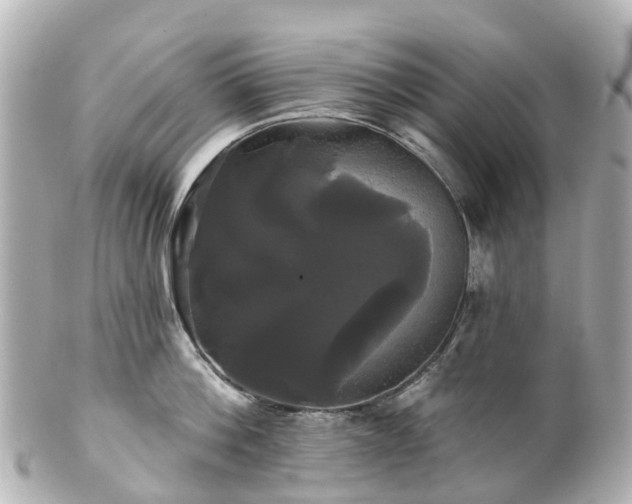 X0000100920812200807011305