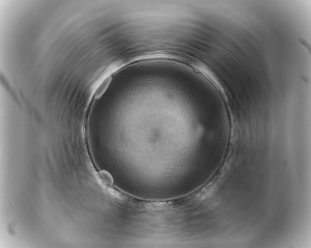 X0000100920813200807011305