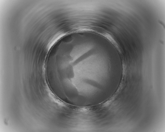 X0000100920814200807011305