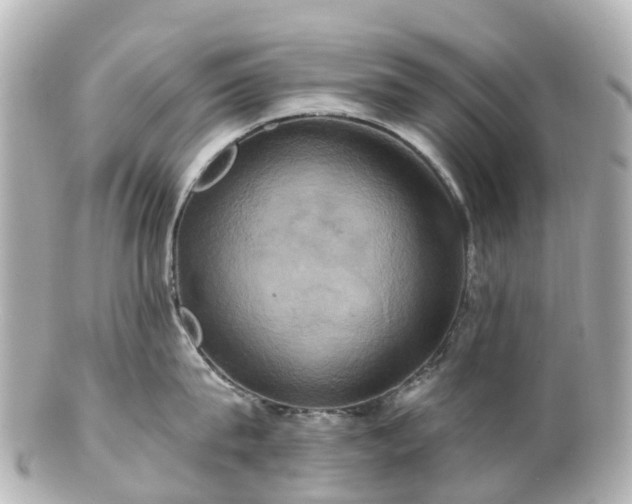 X0000100920815200807011305