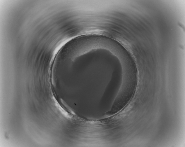 X0000100920816200807011305