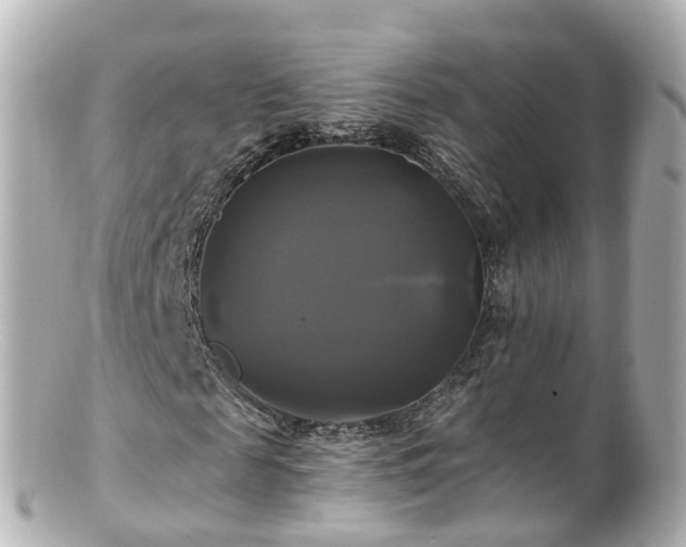 X0000100920817200807011304