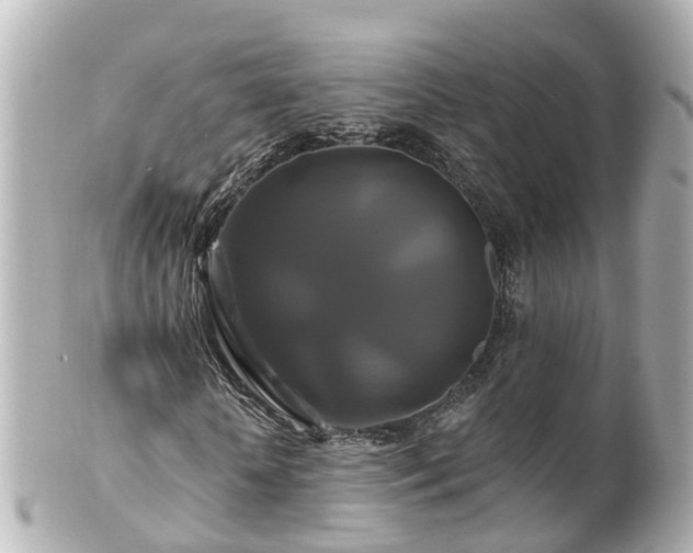 X0000100920818200807011304