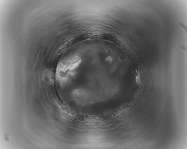 X0000100920819200807011304