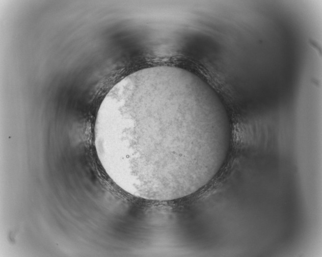 X0000100920820200807011304