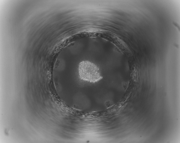 X0000100920821200807011304