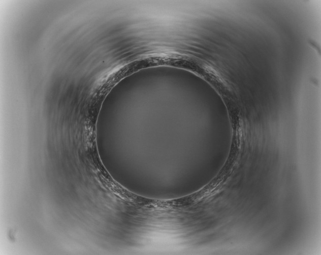 X0000100920822200807011304