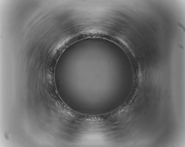 X0000100920823200807011304