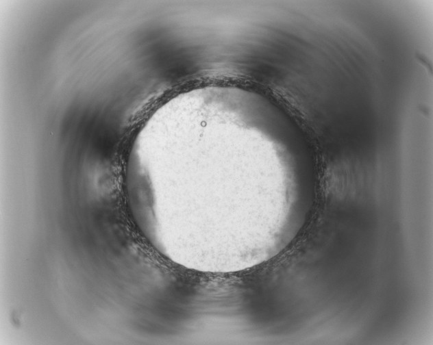 X0000100920824200807011304