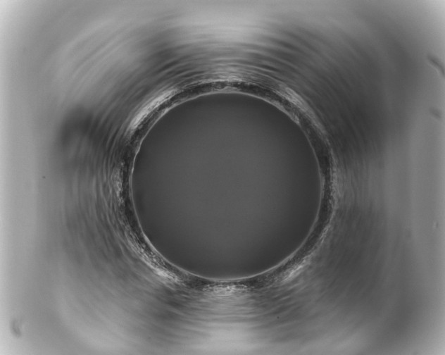 X0000100920826200807011304