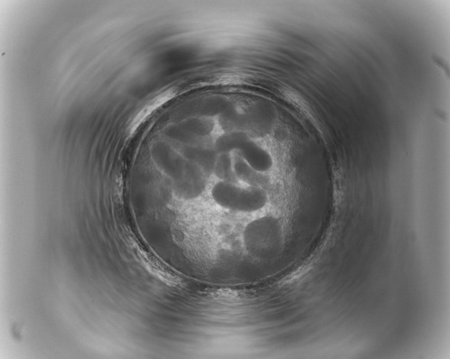 X0000100920827200807011304