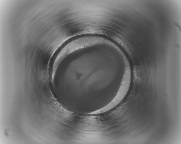 X0000100920828200807011304