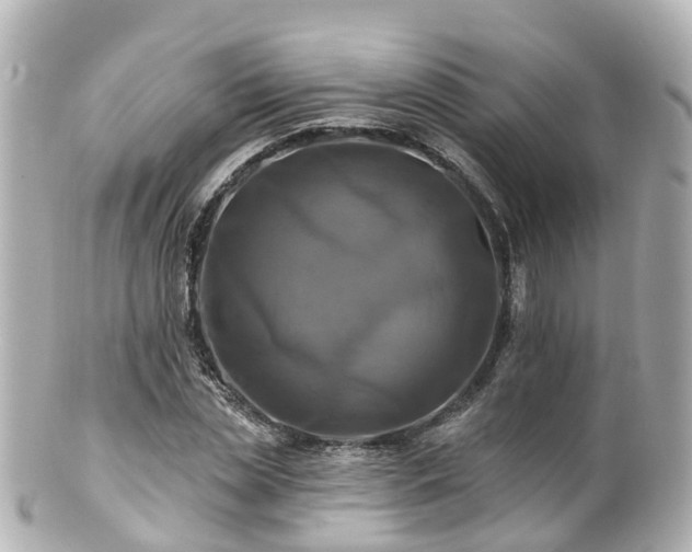 X0000100920829200807011304