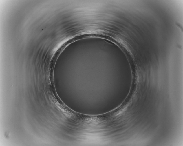 X0000100920830200807011304