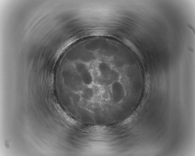 X0000100920831200807011305