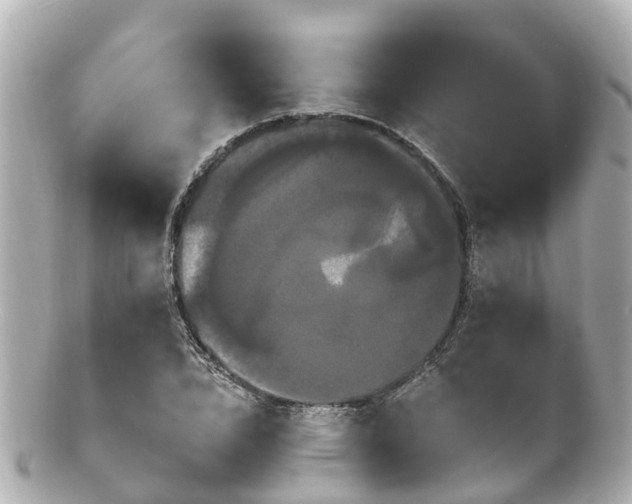 X0000100920832200807011305