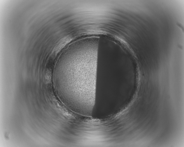 X0000100920833200807011305