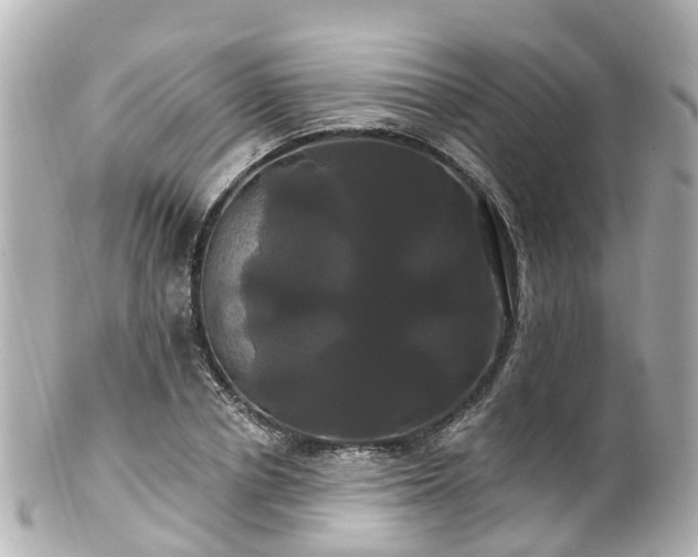 X0000100920834200807011305