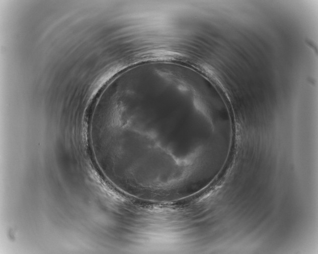 X0000100920835200807011305