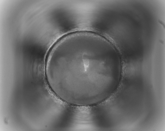 X0000100920836200807011305