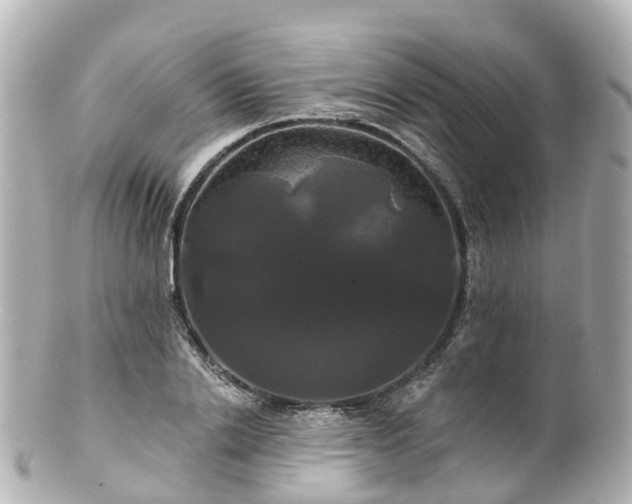 X0000100920838200807011305