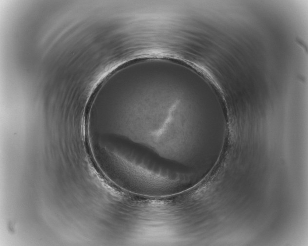 X0000100920839200807011305