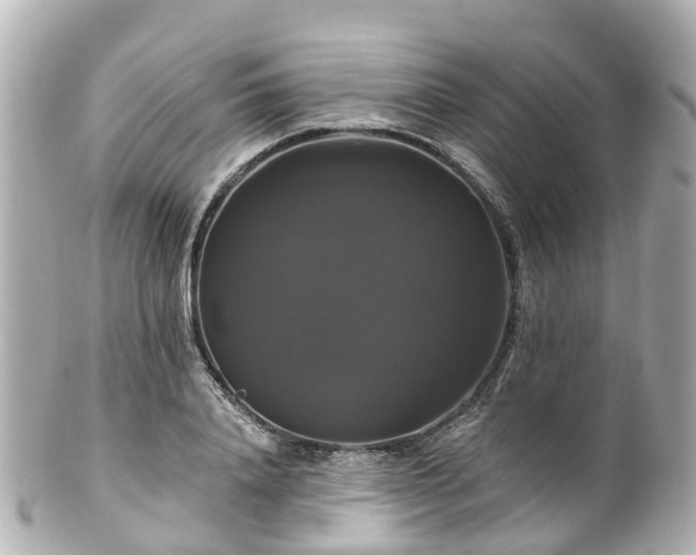 X0000100920840200807011305