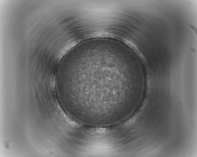 X0000100920841200807011305