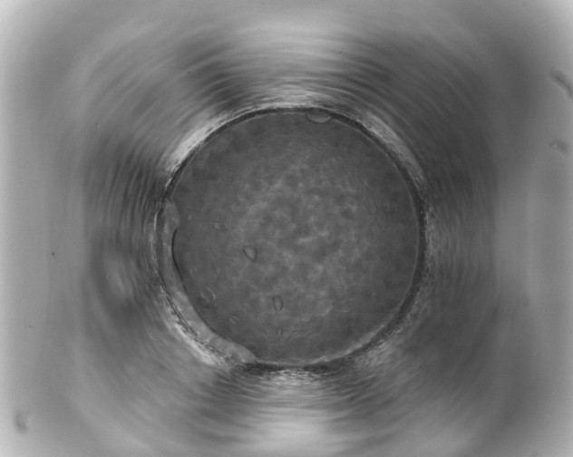 X0000100920842200807011305