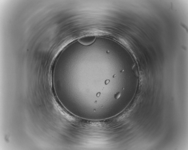 X0000100920843200807011305