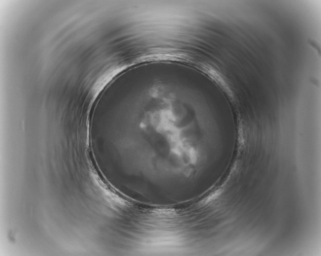 X0000100920844200807011305