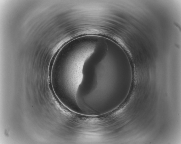 X0000100920845200807011305