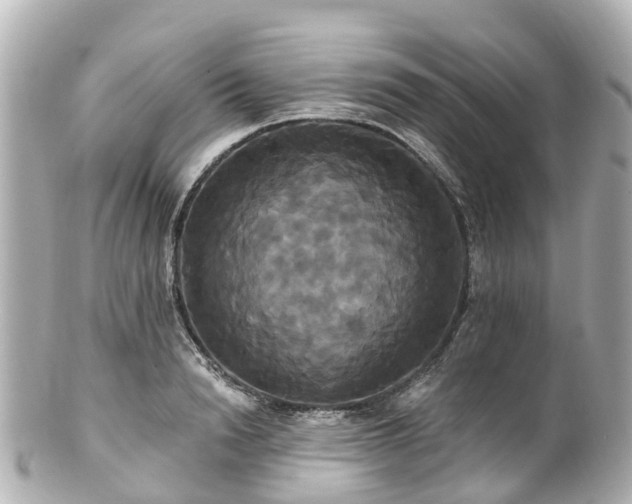 X0000100920846200807011305