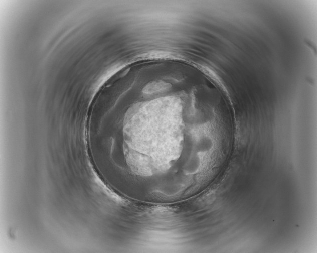 X0000100920847200807011305