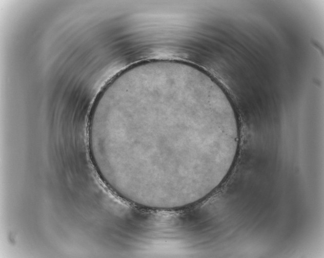 X0000100920848200807011305