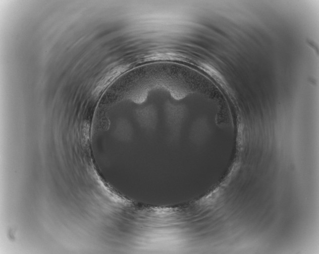 X0000100920849200807011305