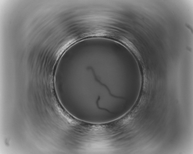 X0000100920850200807011305