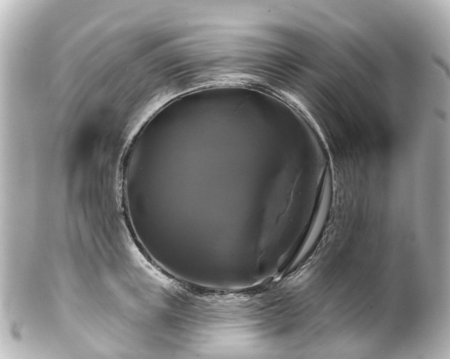 X0000100920851200807011305