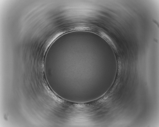 X0000100920852200807011305