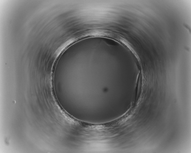 X0000100920853200807011305