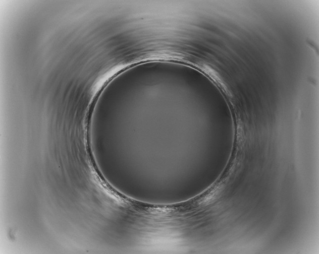 X0000100920854200807011305