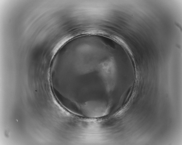 X0000100920855200807011305