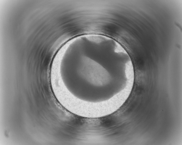 X0000100920856200807011305