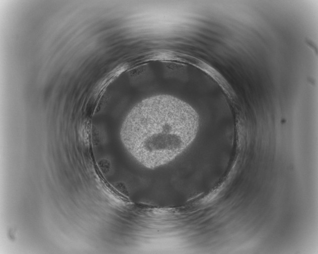 X0000100920857200807011305